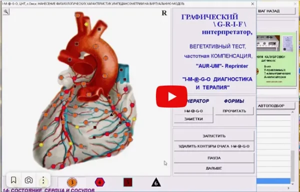 имаго вегетотест